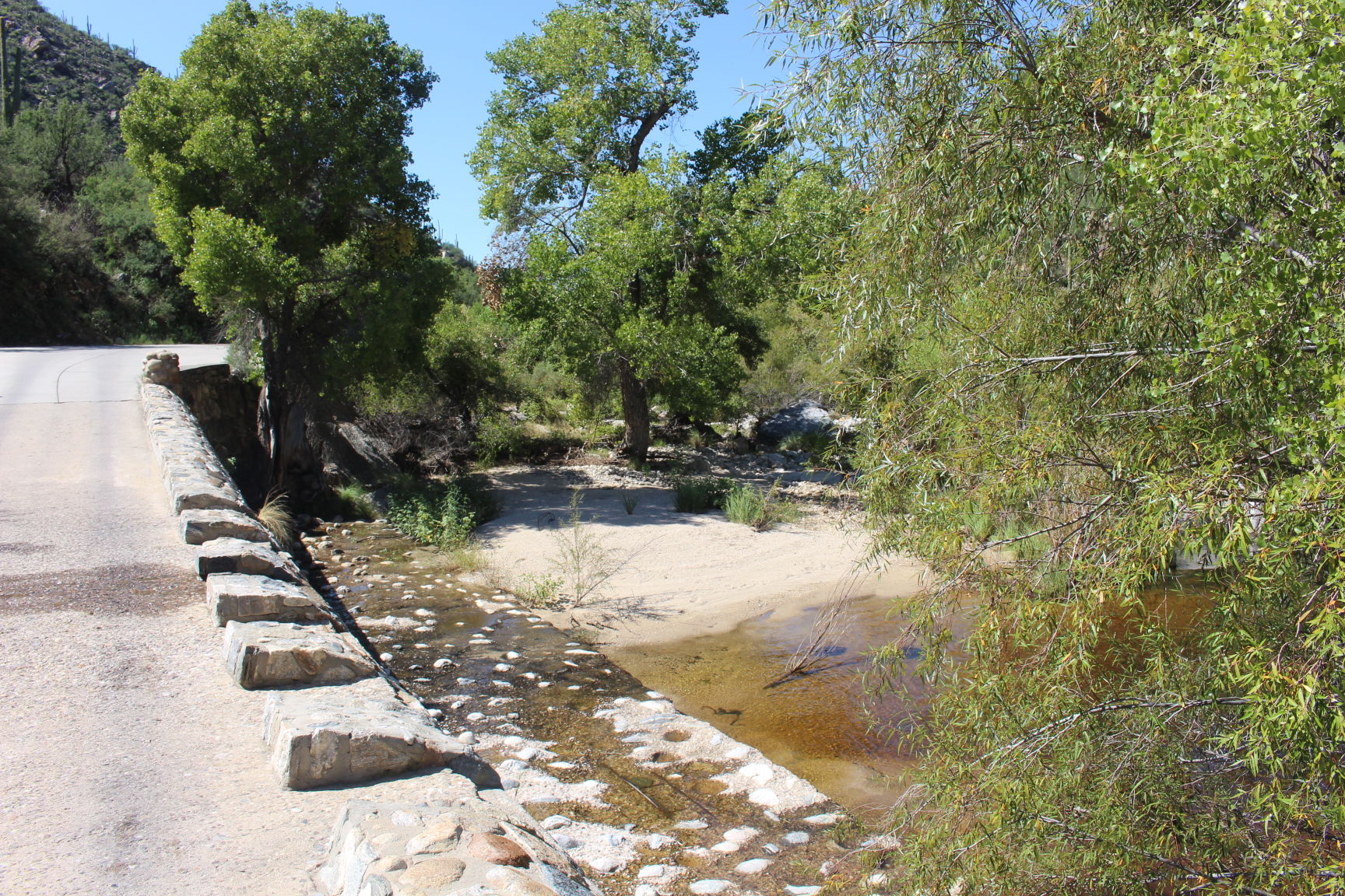The bridges of Sabino Canyon